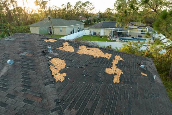 Navigating Roof Replacement Options in Jacksonville